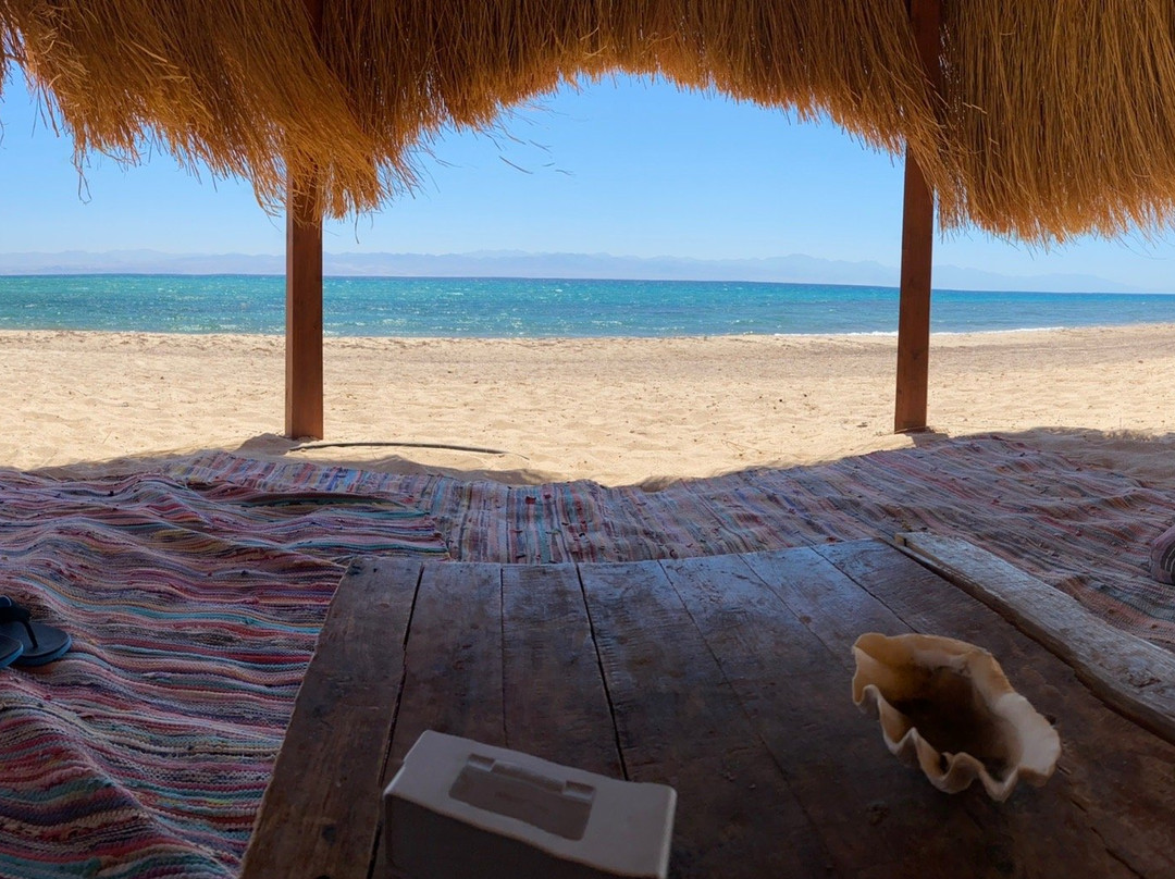 Safari Beach Resort主图