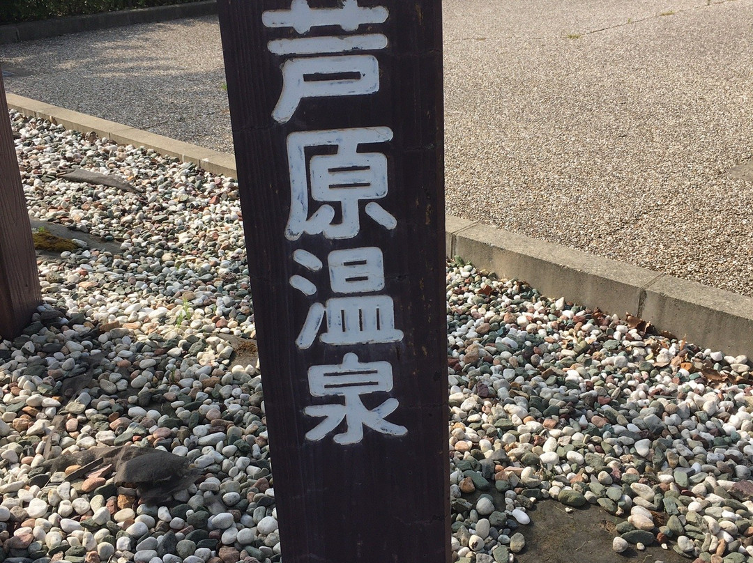 Awara Onsen Ashiyu景点图片