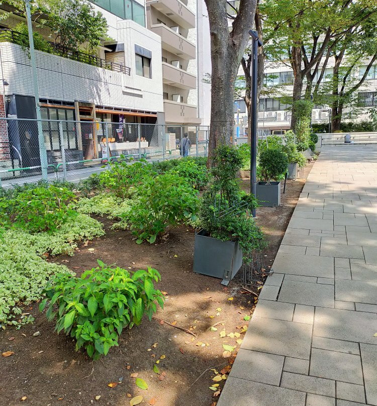 Minami Ikebukuro Park-丰岛区必去景点
