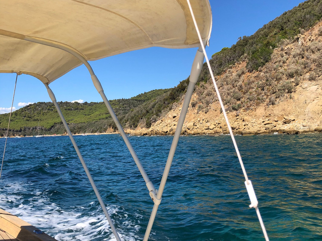 Cala Violina Boat Tour景点图片