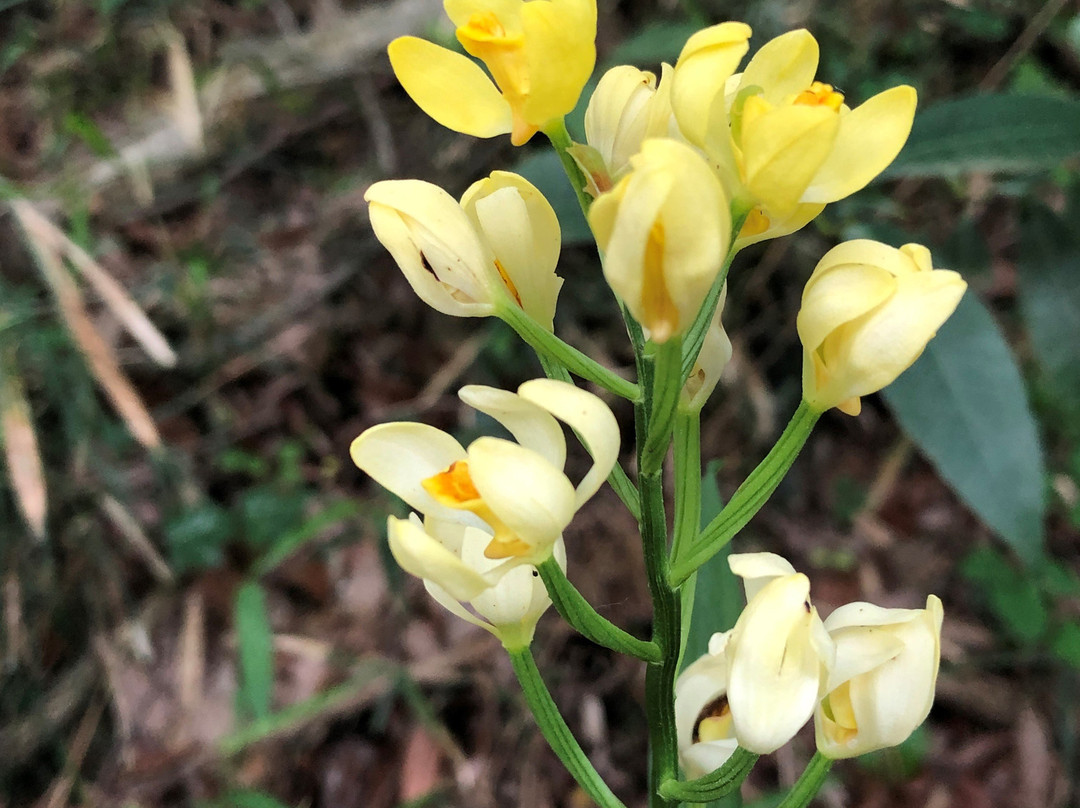 Lake Sayama-所泽市必去景点