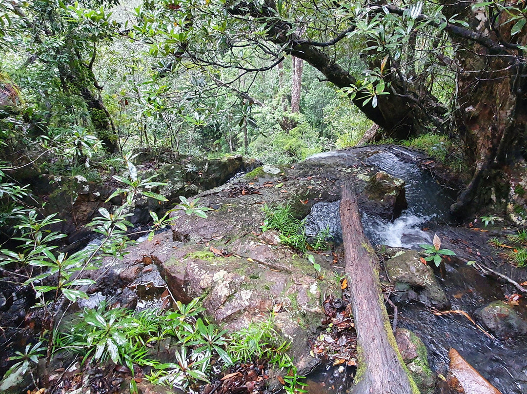 Tully Falls National Park-Ravenshoe必去景点