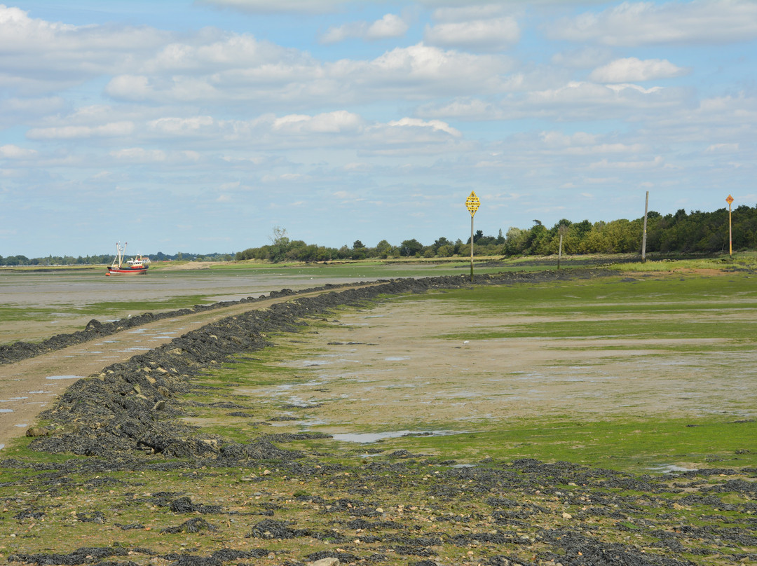 Northey Island景点图片