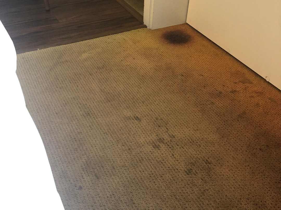 Hotel Campanile Nantes Ouest - Saint Herblain主图