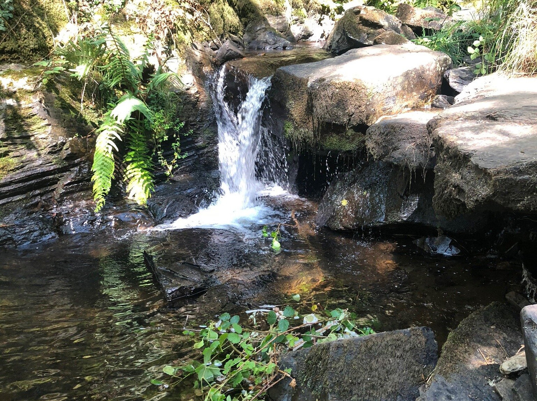 Ruta de La Cascada Seimeira景点图片