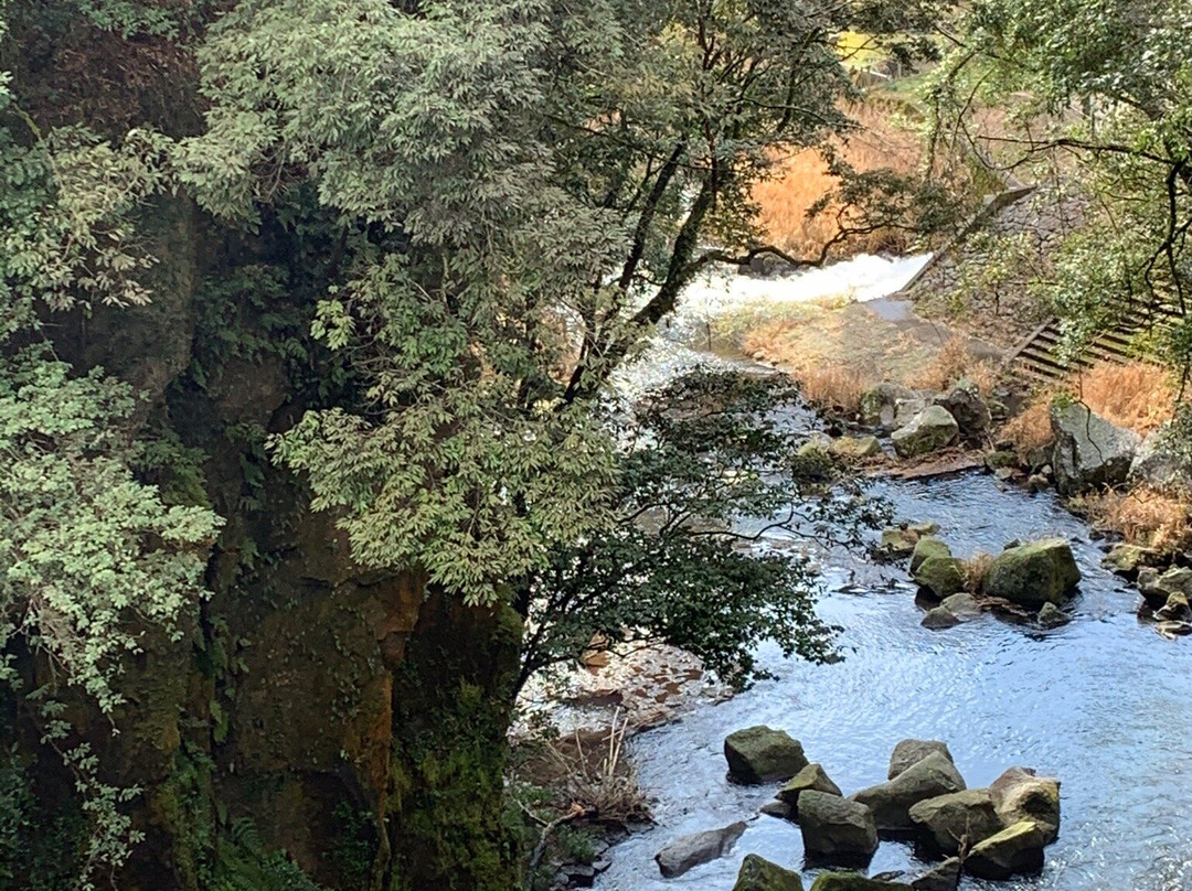 Ryugu Falls景点图片