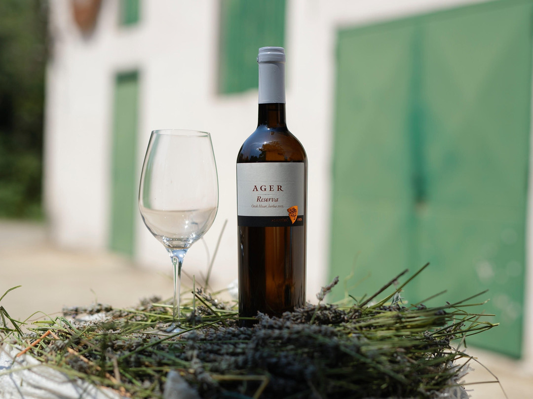 Vinarija Braca Plancic景点图片