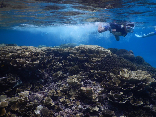 Yabiji Marineheart Miyakojima-Miyako-jima必去景点