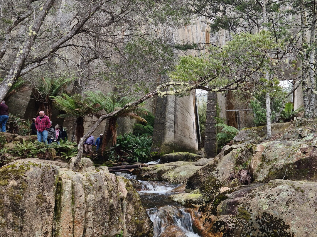 Mt Paris Dam-Branxholm必去景点