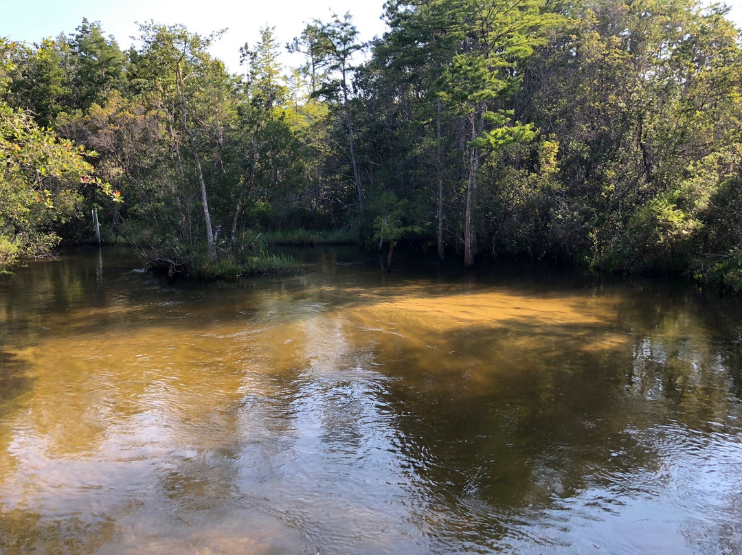 Turkey Creek Nature Trail景点图片