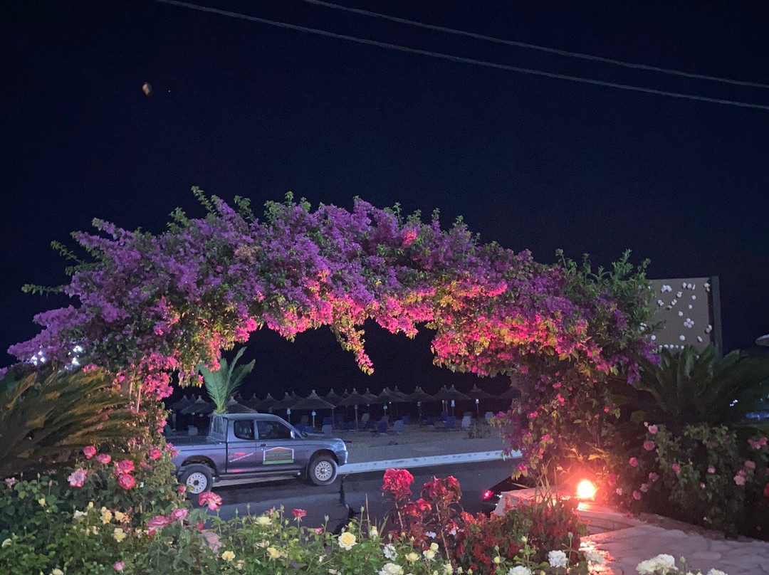 Haris Apartments主图