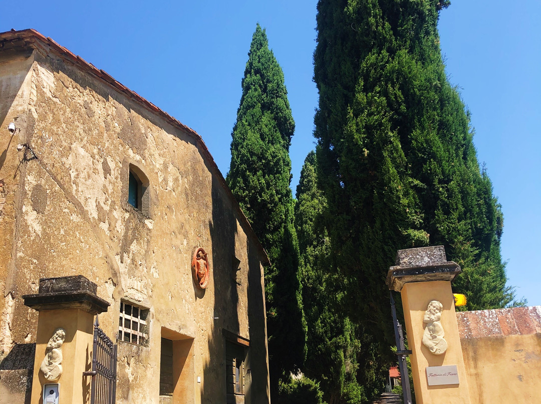 Fattoria di Fiano, Ugo Bing-Marcialla必去景点