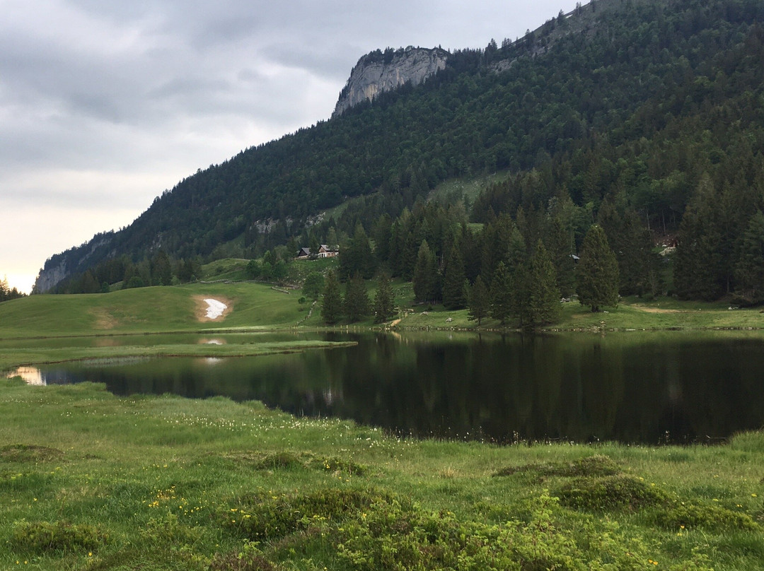 Seewaldsee-Sankt Koloman必去景点