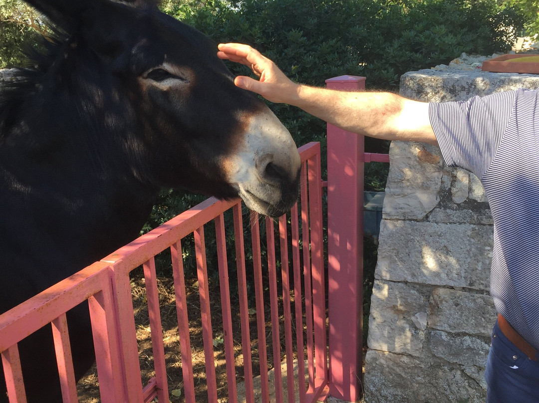Agriturismo Masseria Gianca主图