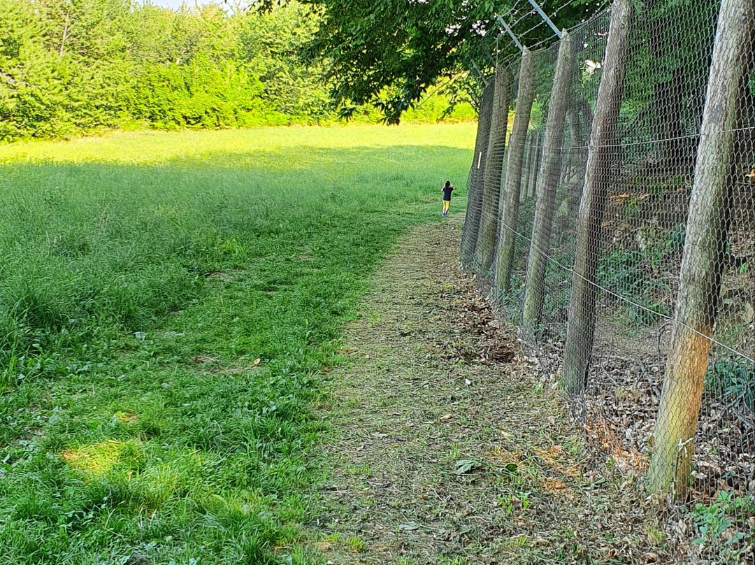 Parco Provinciale Monte Fuso景点图片