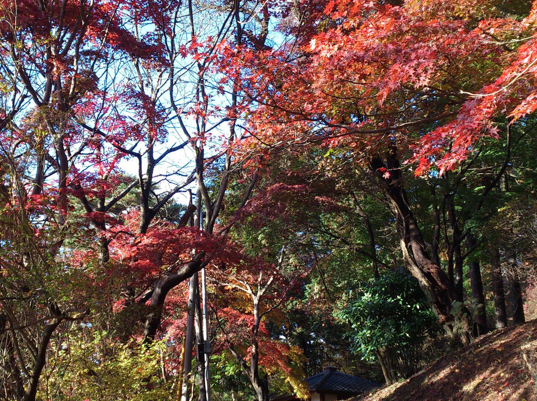 Karasugamori park景点图片