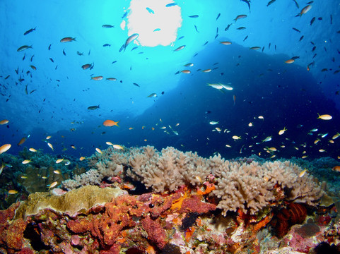 Okinawa 39ers-北谷町必去景点