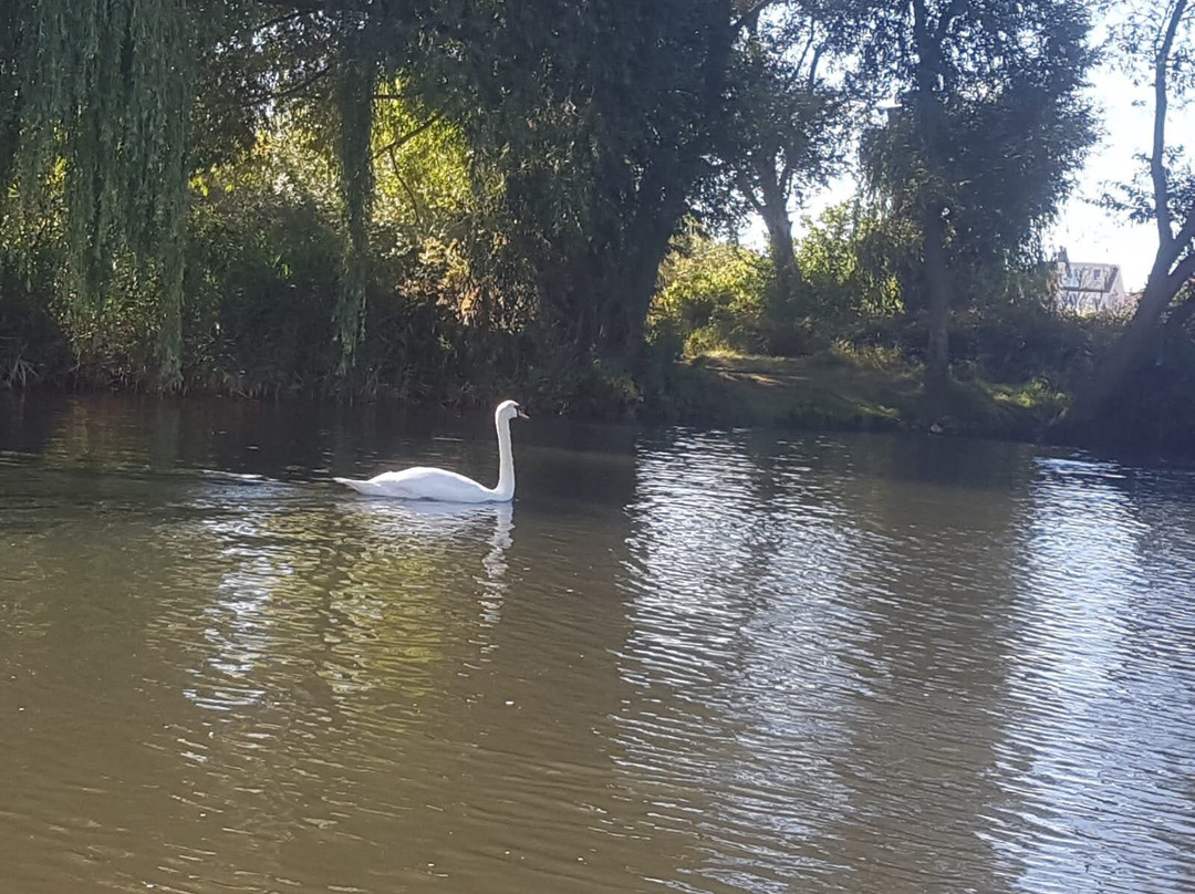 Quay Leisure Boat Hire-基督城必去景点
