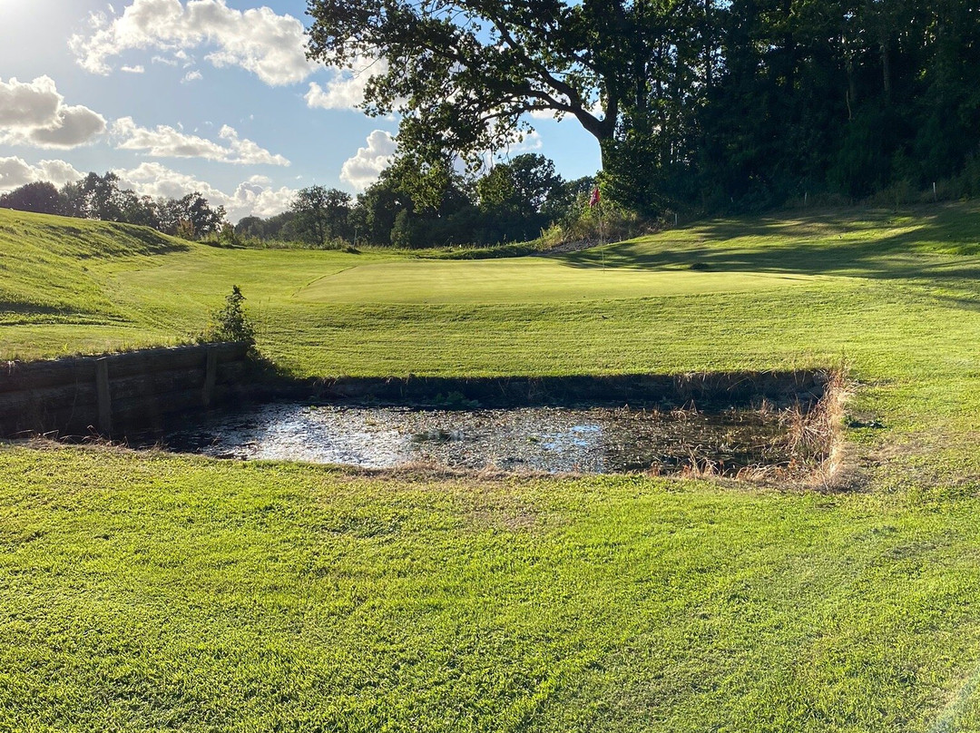 Kristtornskogen Golfpark景点图片