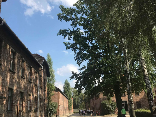 Enjoy Polen-克拉科夫必去景点