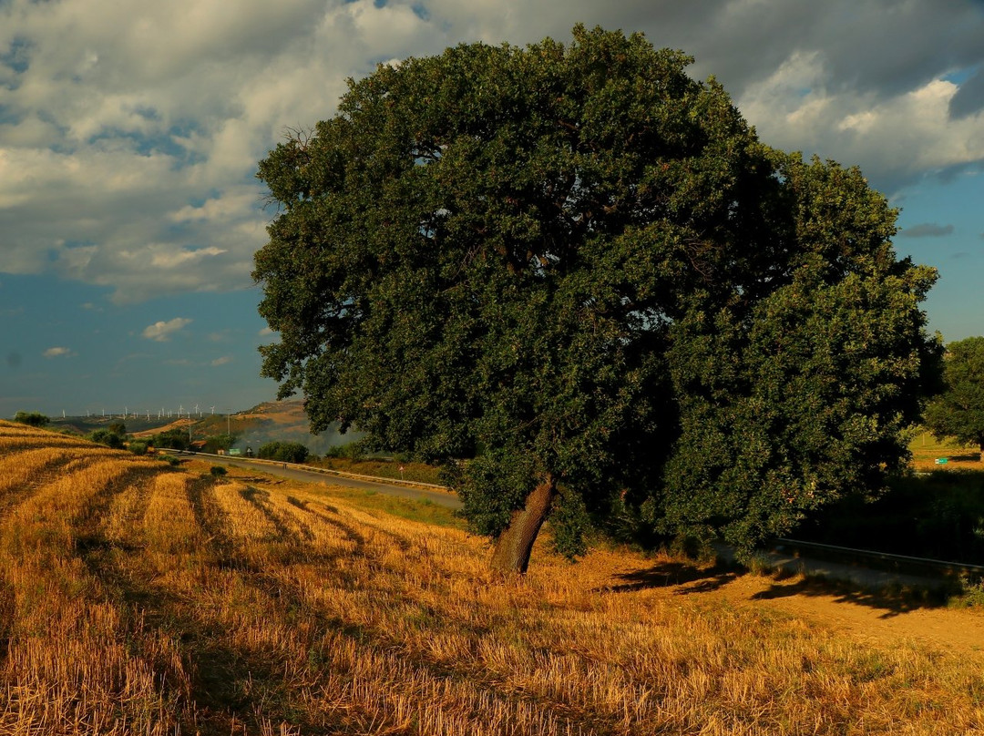 Torano Castello旅游攻略图片