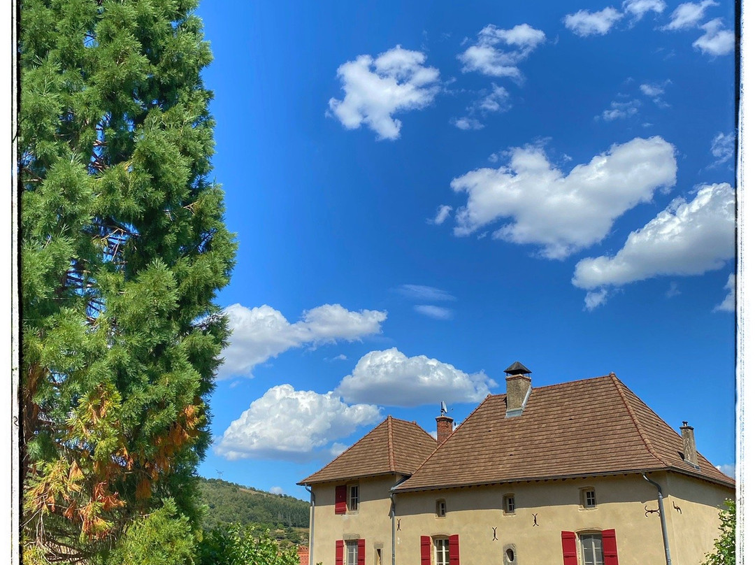Chateau旅游攻略图片
