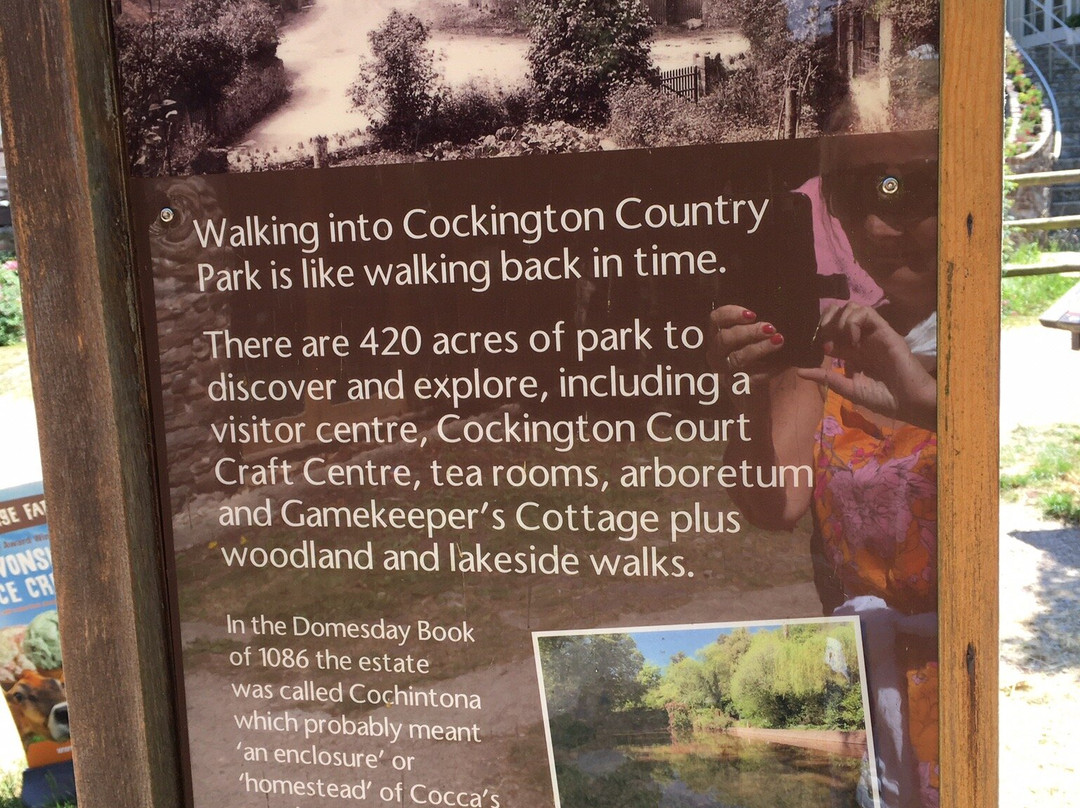 Cockington Court-托基必去景点