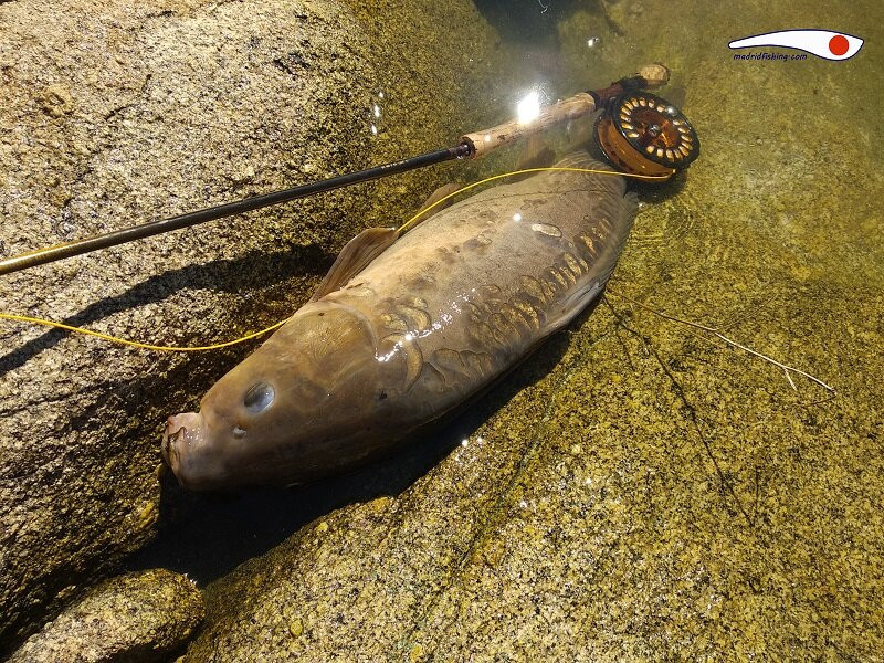 Madrid Fishing-拉斯罗萨斯必去景点