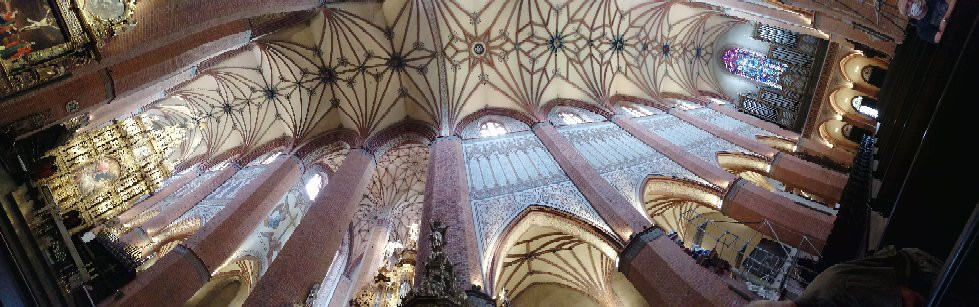 Gothic Cathedral of Pelpin景点图片