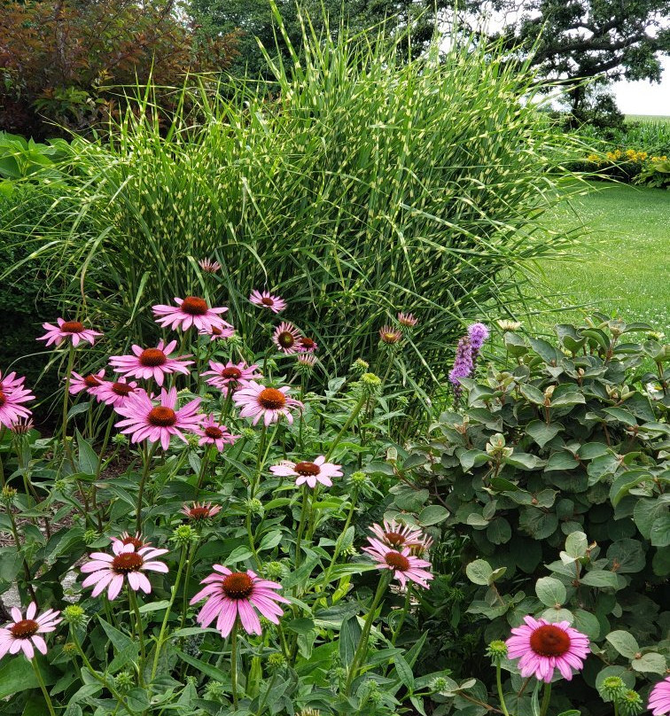 McEachran Homestead Winery-Caledonia必去景点