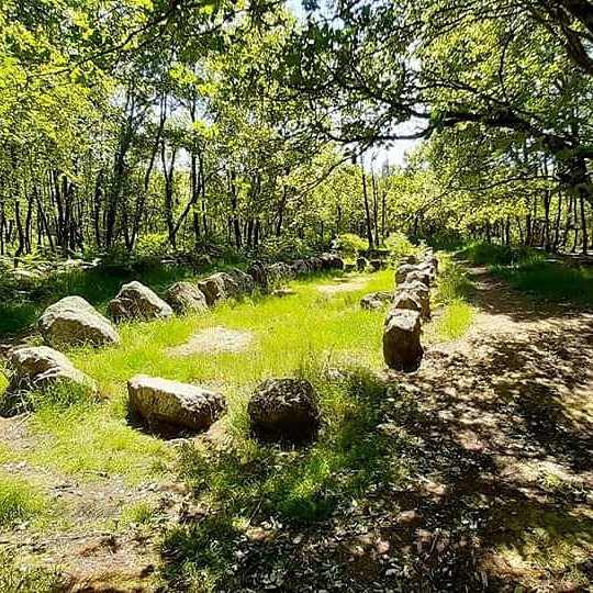 Jardin aux Moines-Neant-sur-Yvel必去景点