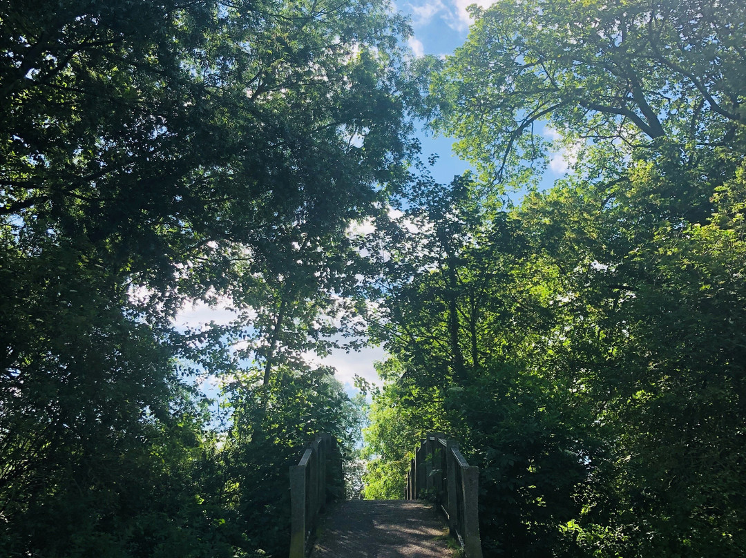 River Walk景点图片