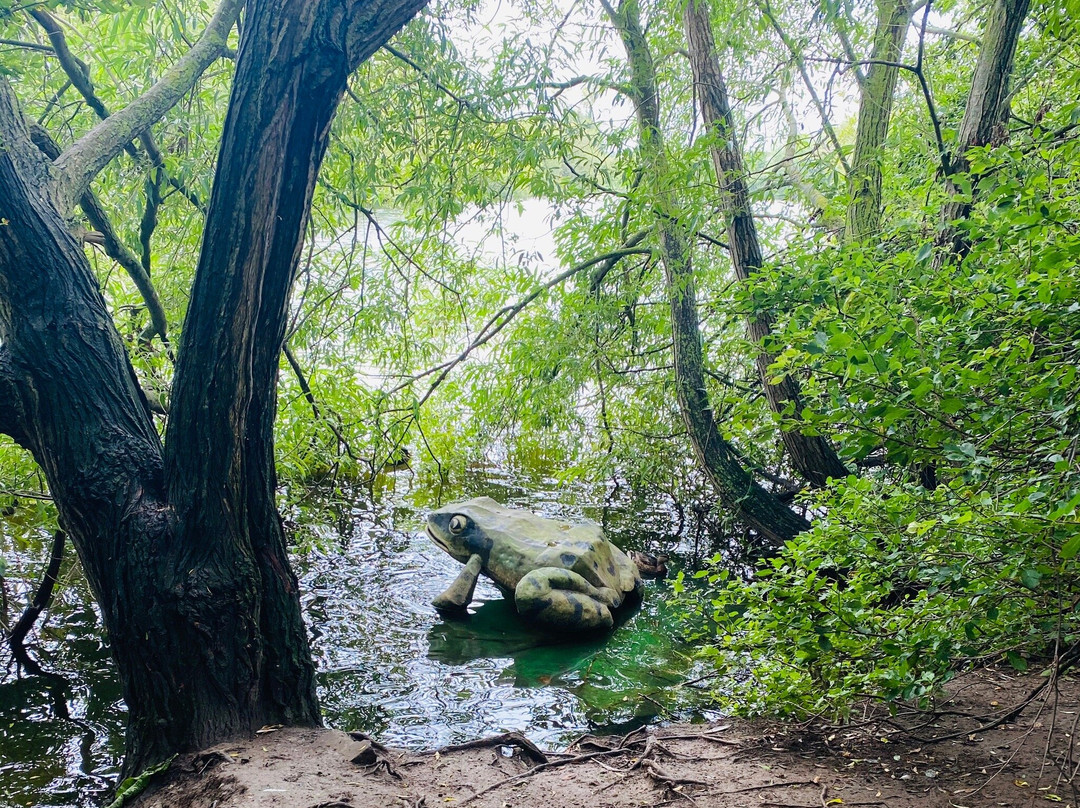Brickfield Pond景点图片