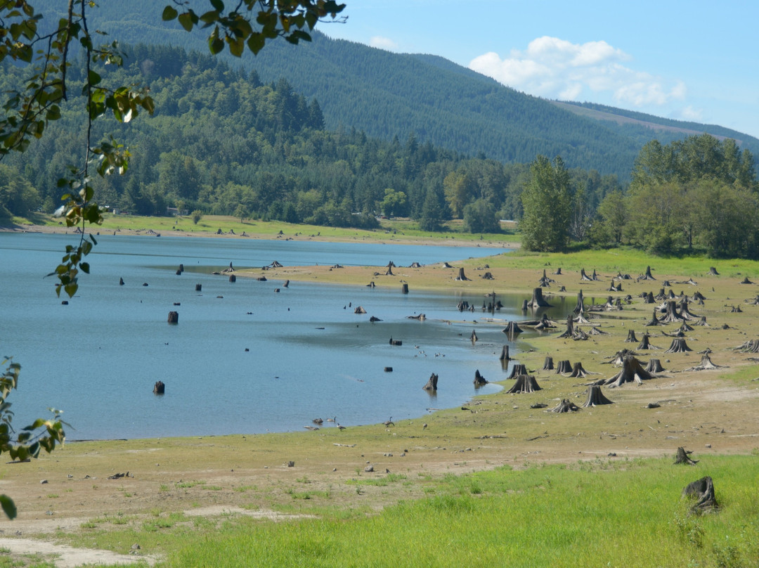 Alder Lake Park景点图片