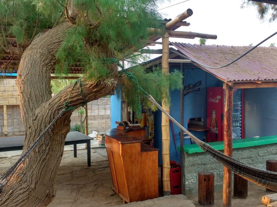 La Casa de Nacho主图