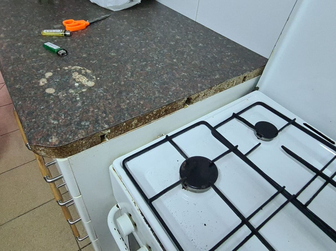 The Olive Tree主图