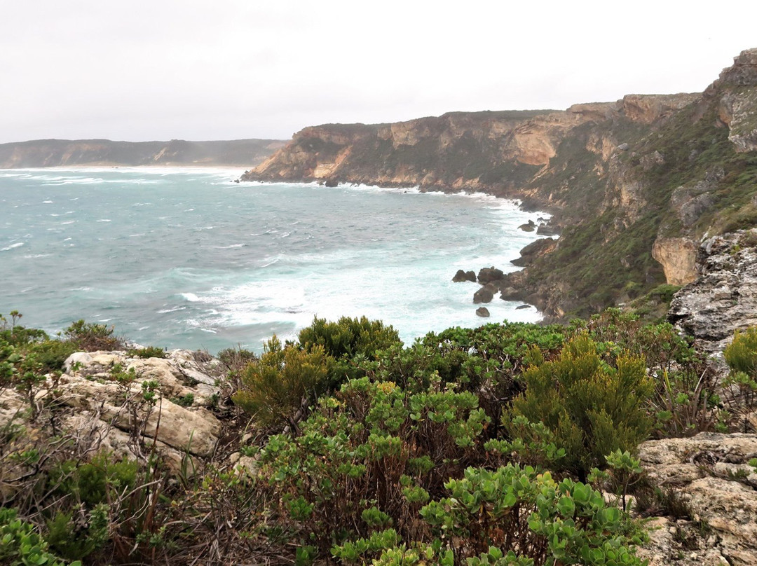 Point d’Entrecasteaux-Northcliffe必去景点