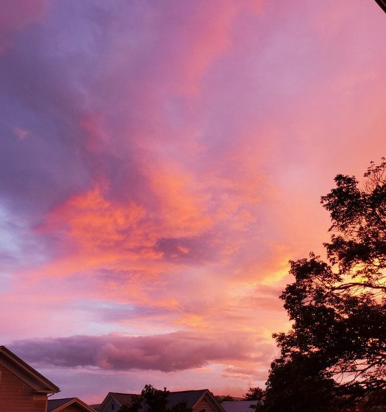 Allegheny Trail House B&B主图