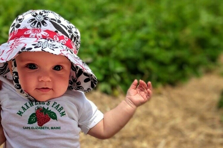 Maxwells Farm-开普伊丽莎白必去景点