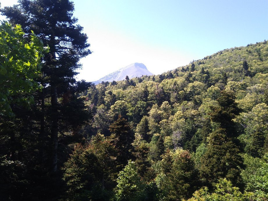 Forest Steni Evia-Steni Dirfyos必去景点