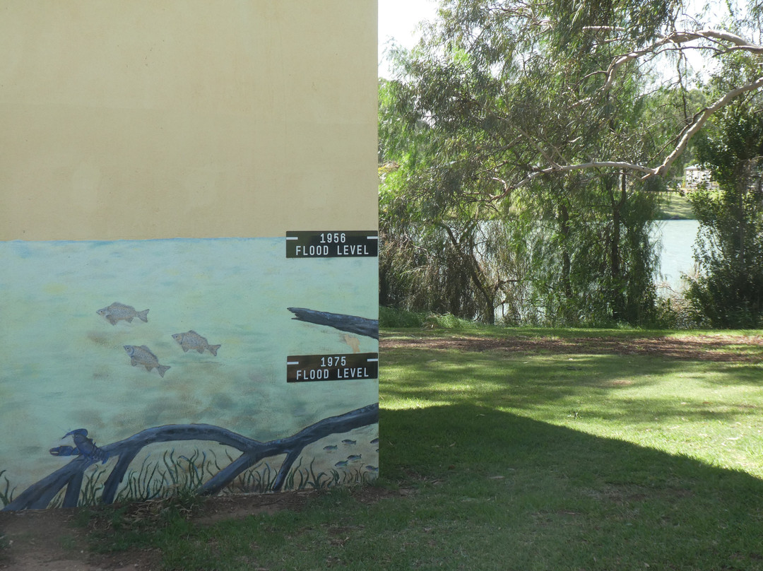 The Chaffey Trail-米尔杜拉必去景点