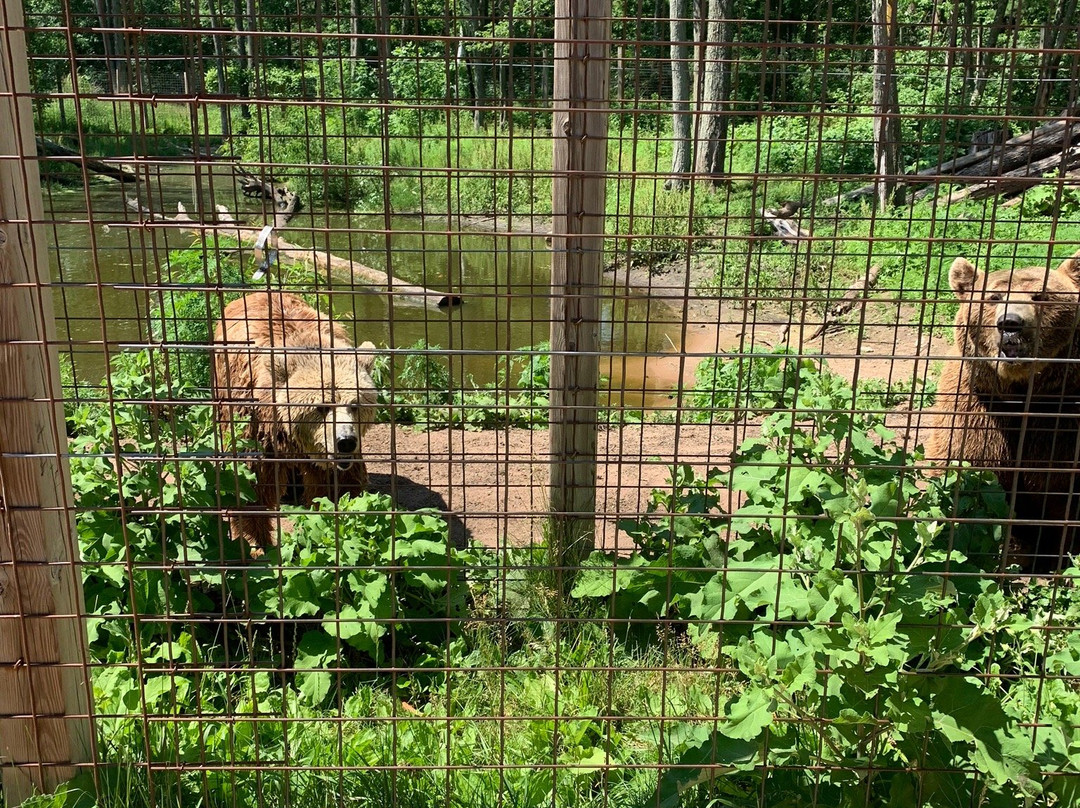 DeYoung Family Zoo-Wallace必去景点