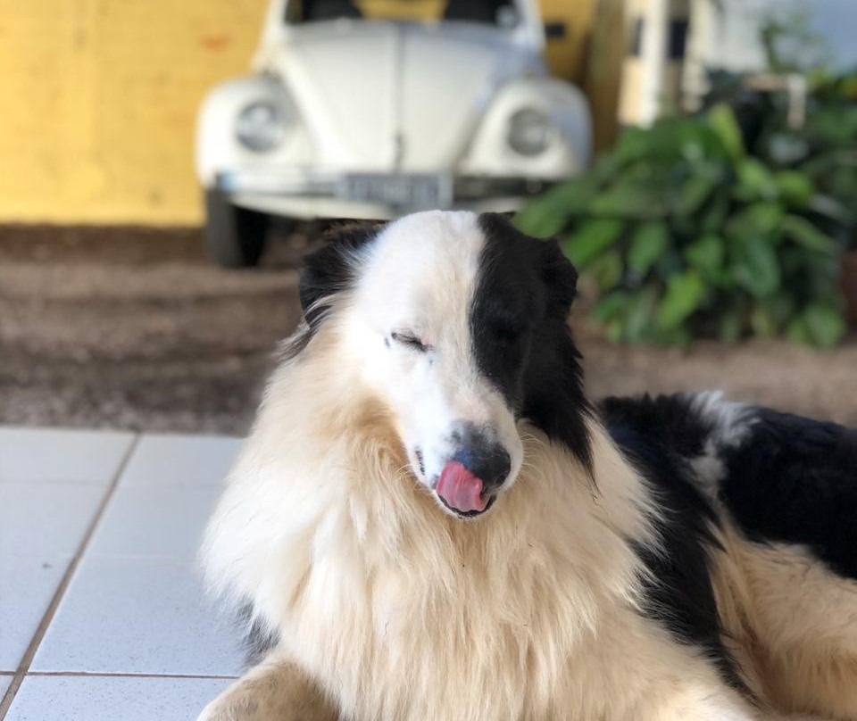 Belvedere Hotel Pousada主图