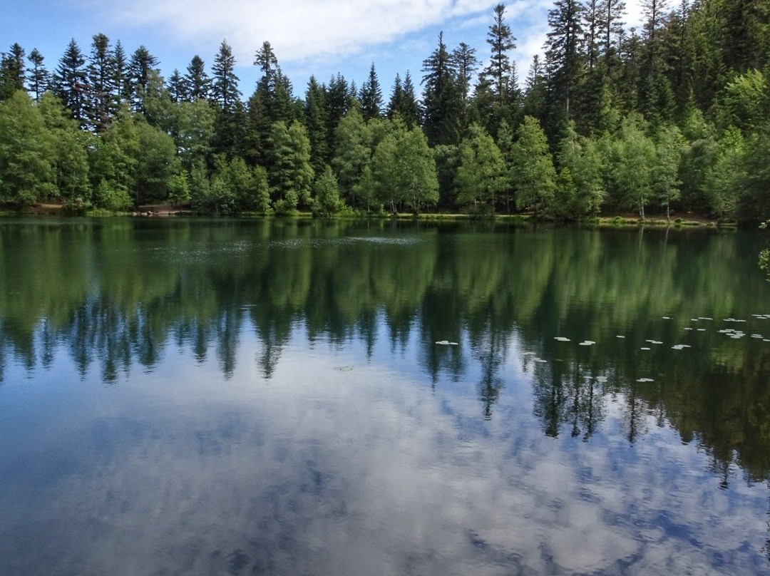 Lac de la Maix景点图片