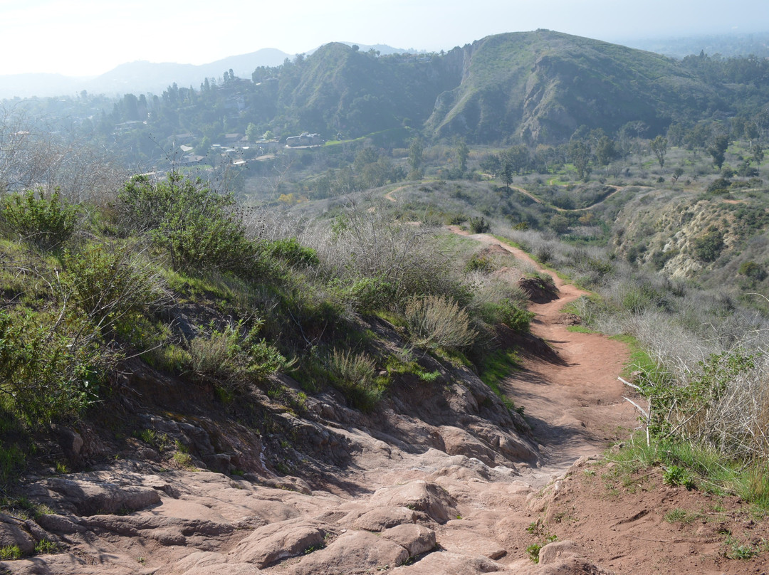 Santiago Oaks Regional Park-橘子郡必去景点