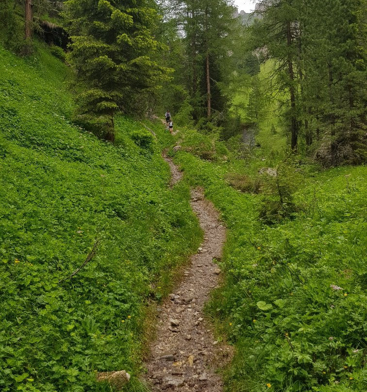 Valle Dei Molini景点图片