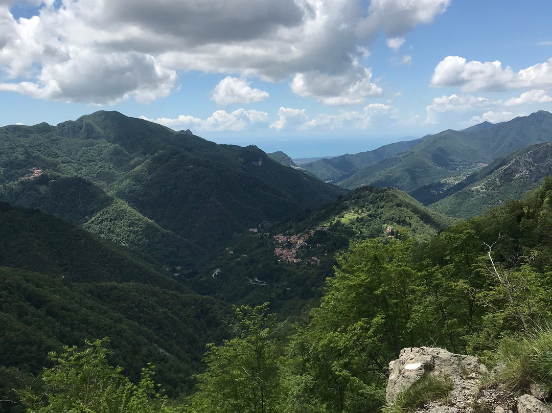 Agriturismo Mareli主图