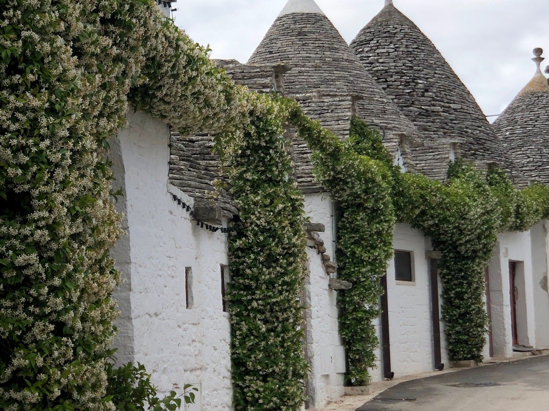Trulli and Puglia Tours-阿尔贝罗贝洛必去景点