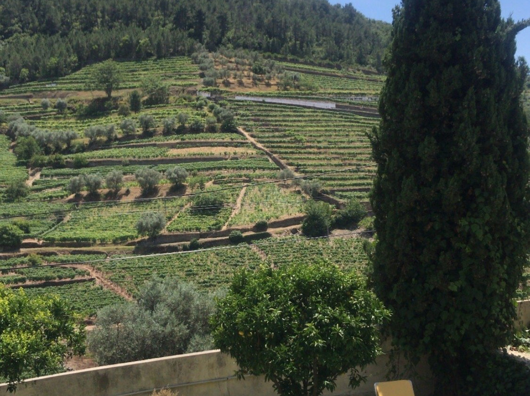 Casa de Mendiz主图