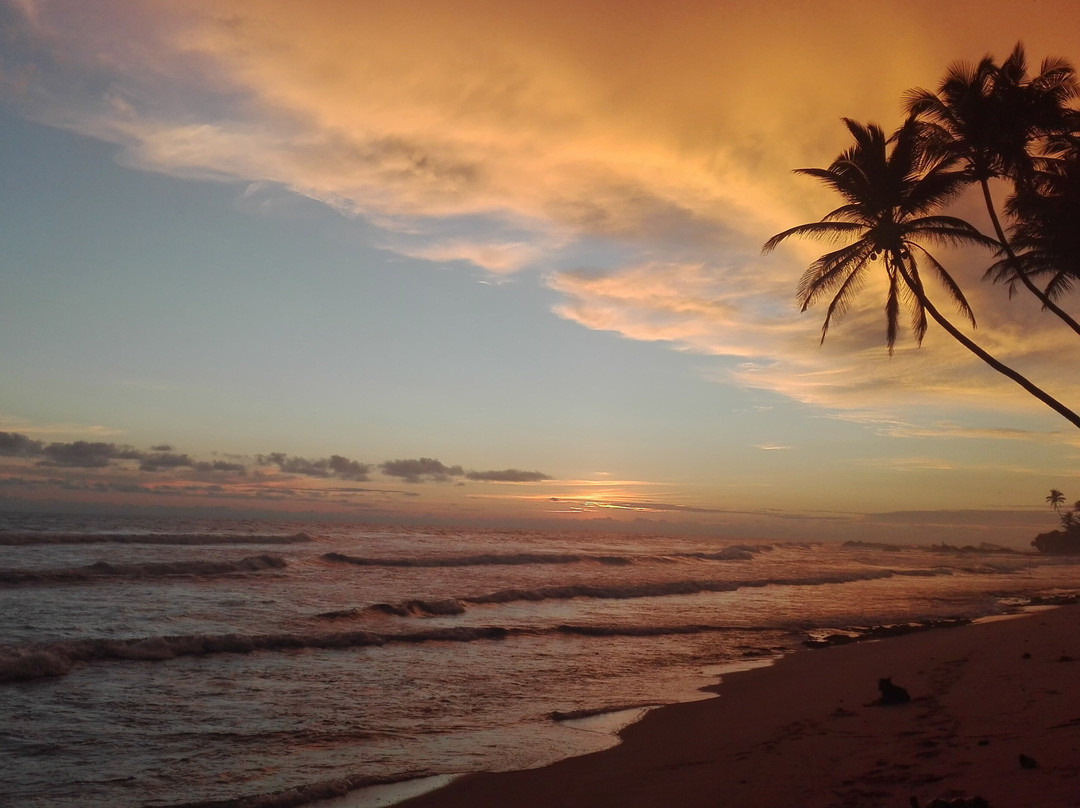SUN AND CITY TOURS-卡卢特勒必去景点